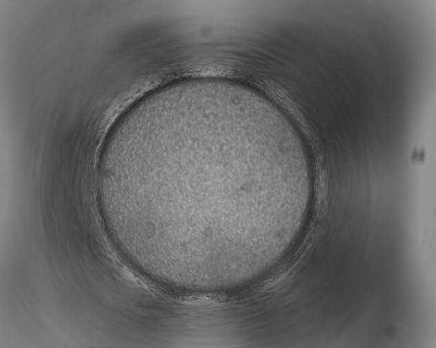 X0000115710721200912031527