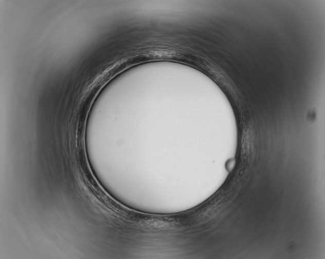 X0000115710722200912031527