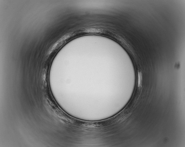 X0000115710723200912031527