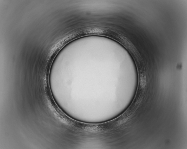 X0000115710725200912031527