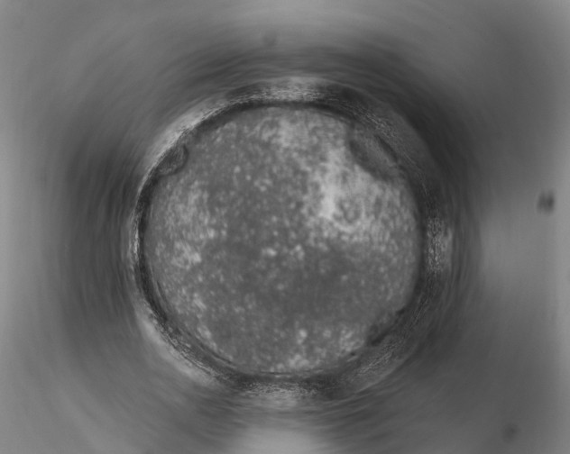 X0000115710726200912031527