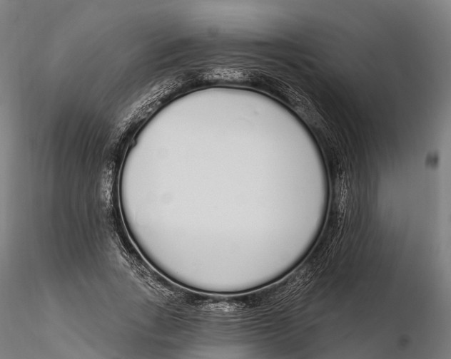 X0000115710735200912031527