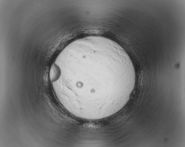 X0000115710739200912031527