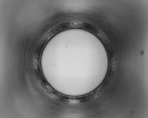 X0000115710741200912031528