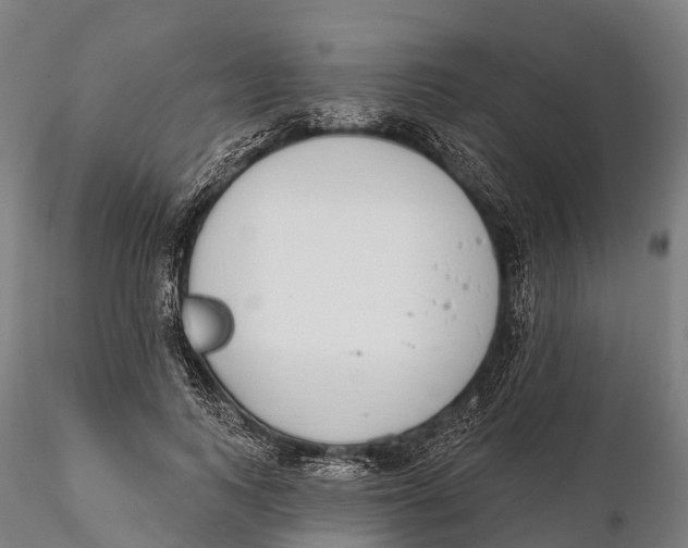 X0000115710743200912031528