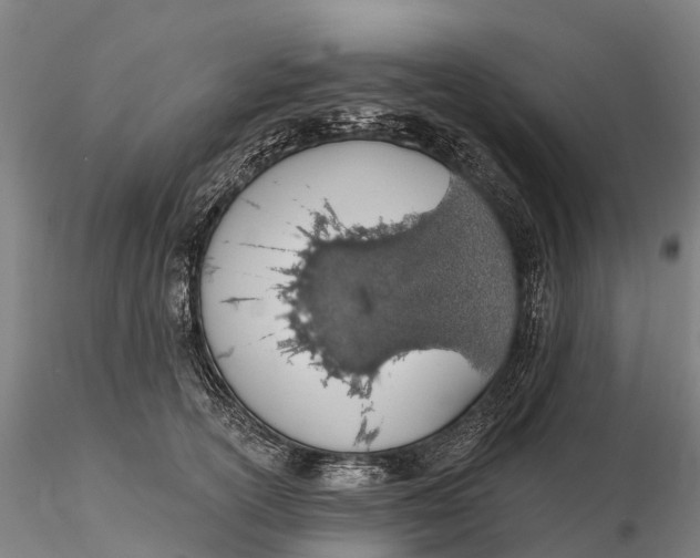 X0000115710754200912031528