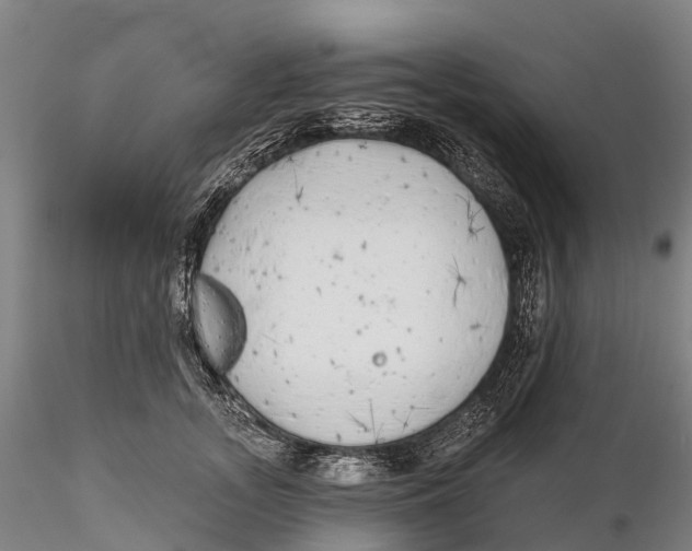 X0000115710755200912031528