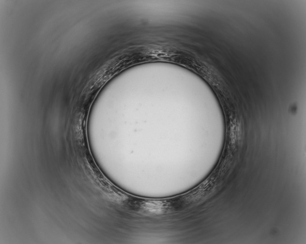 X0000115710757200912031528