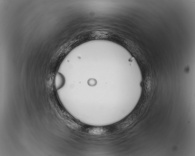 X0000115710759200912031528