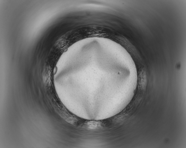 X0000115710762200912031528