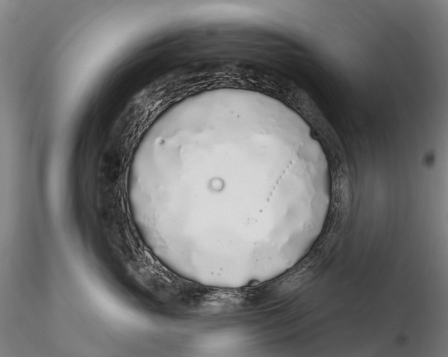 X0000115710765200912031528