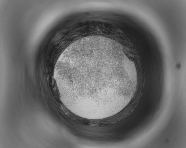 X0000115710766200912031528