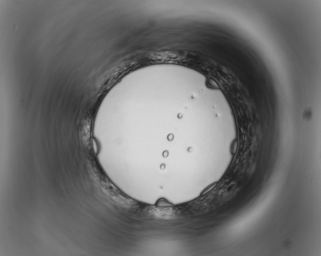 X0000115710767200912031528