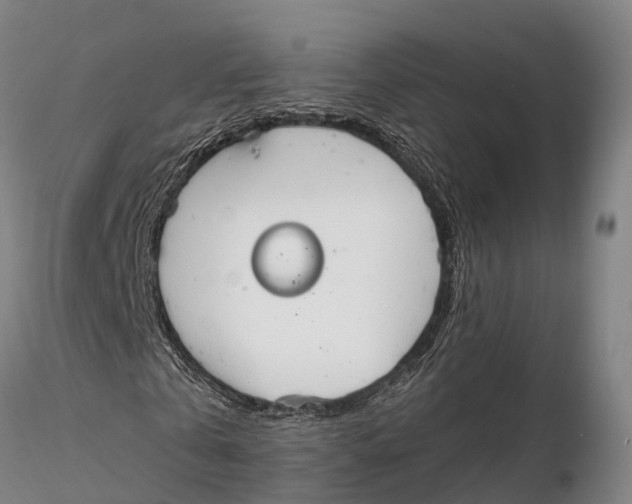 X0000115710769200912031527