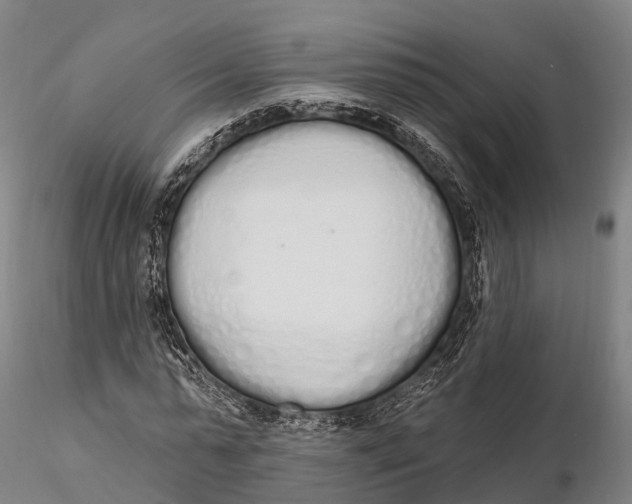 X0000115710775200912031527