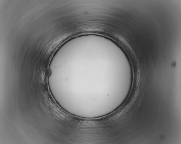 X0000115710777200912031527