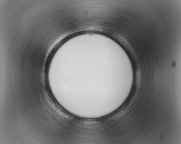 X0000115710780200912031527