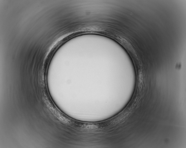 X0000115710784200912031527