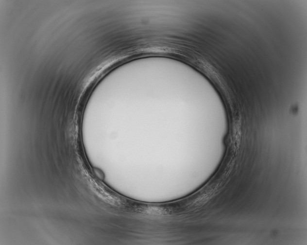 X0000115710787200912031527