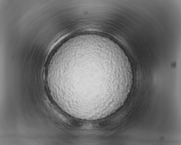 X0000115710790200912031527