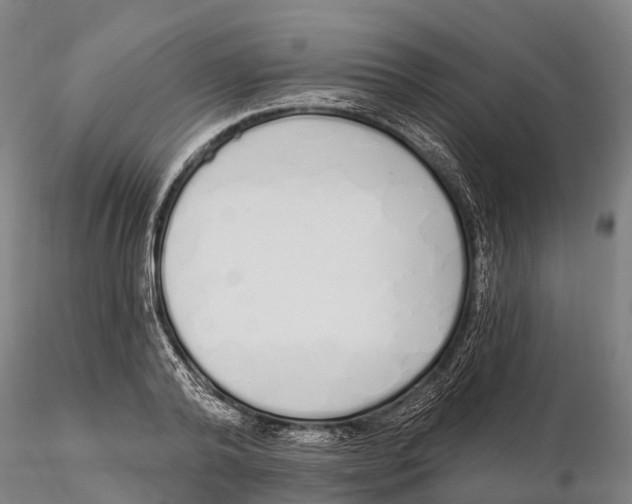 X0000115710792200912031527