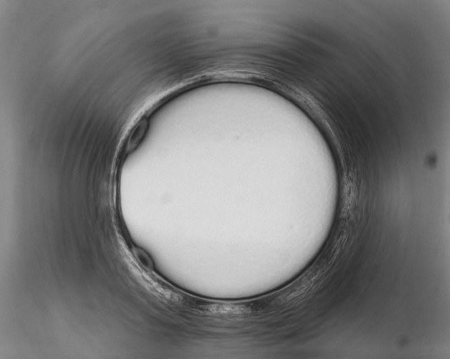 X0000115710795200912031527