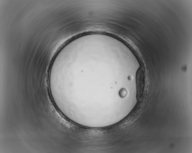 X0000115710799200912031527