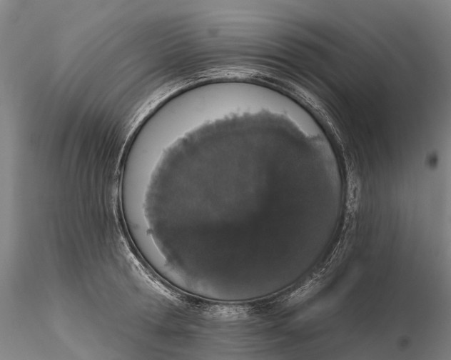 X0000115710802200912031527