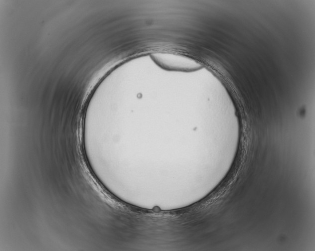 X0000115710804200912031527