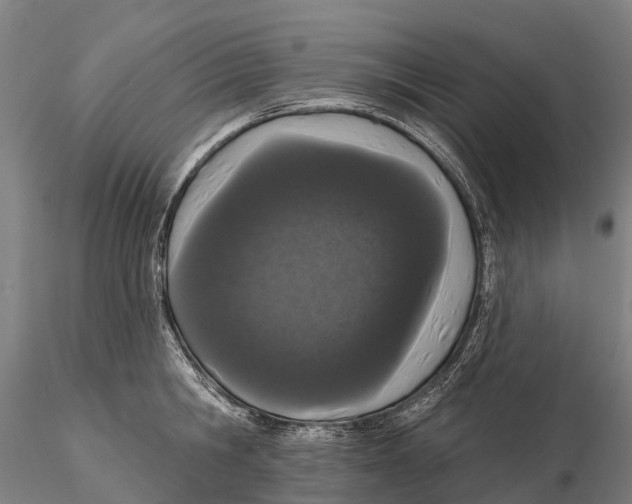 X0000115710806200912031527