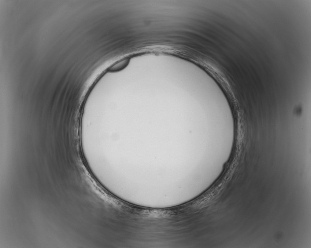 X0000115710808200912031527