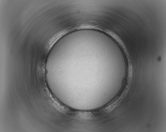 X0000115710809200912031527