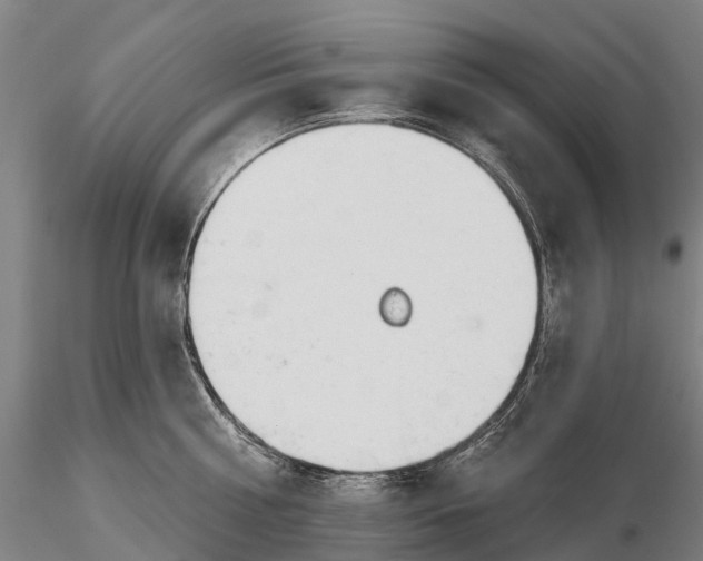 X0000115710810200912031527