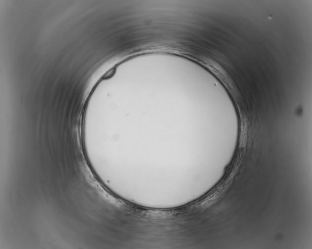 X0000115710812200912031527