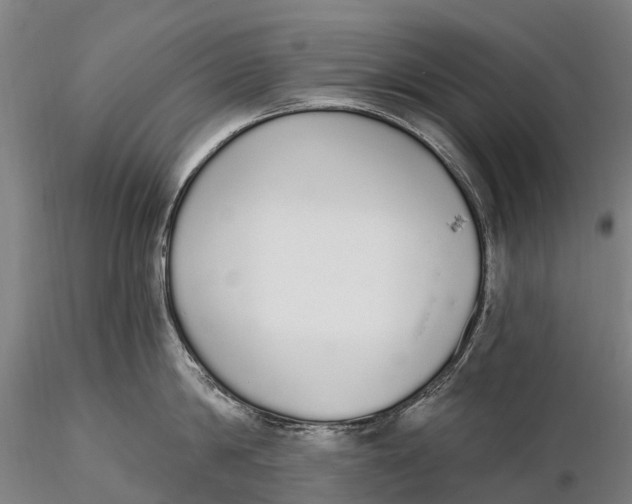 X0000115710814200912031527