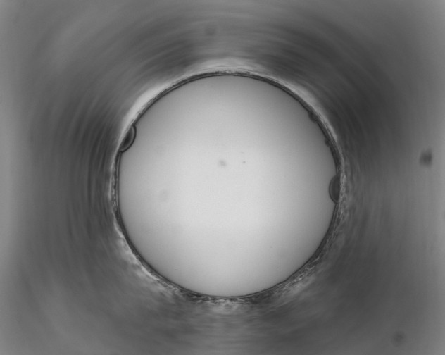 X0000115710815200912031527