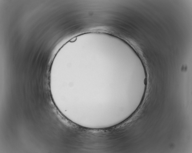 X0000115710816200912031527