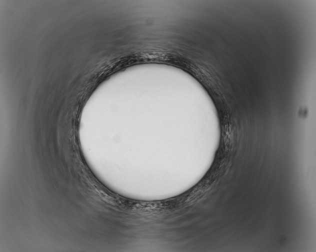 X0000115710817200912031526