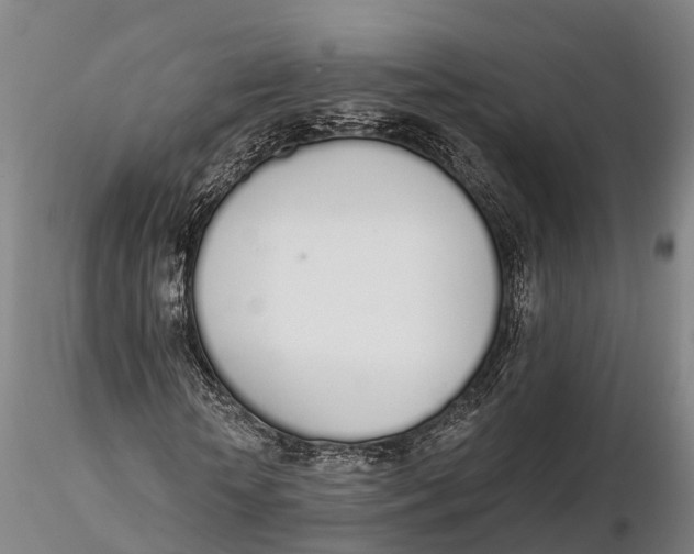 X0000115710818200912031526