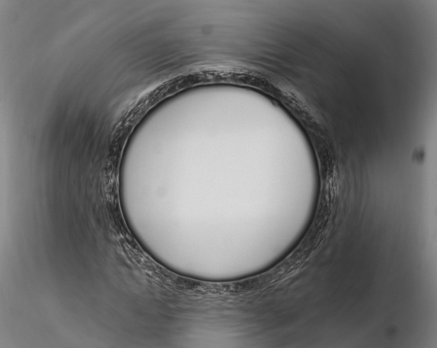 X0000115710822200912031526