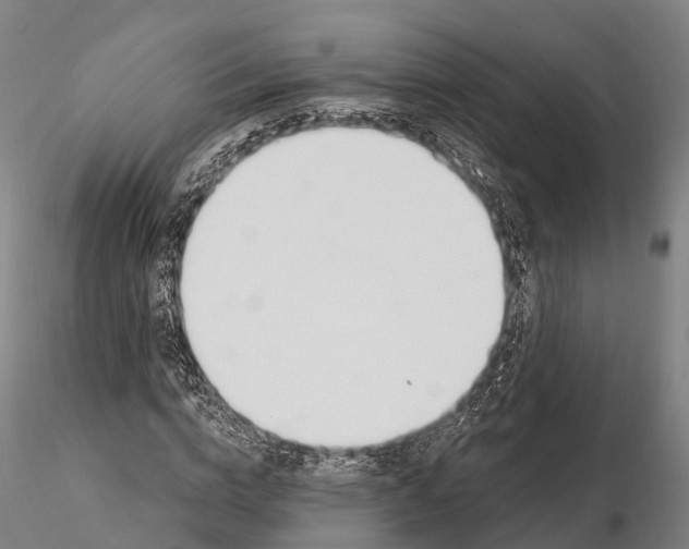 X0000115710824200912031526