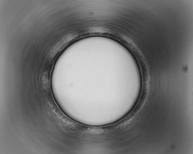 X0000115710825200912031526