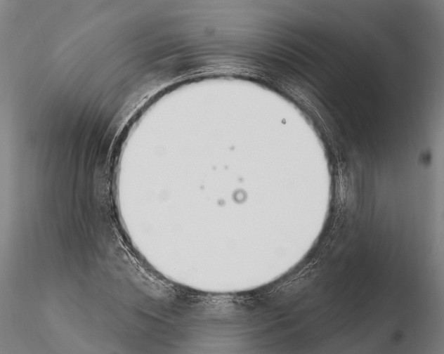 X0000115710828200912031526