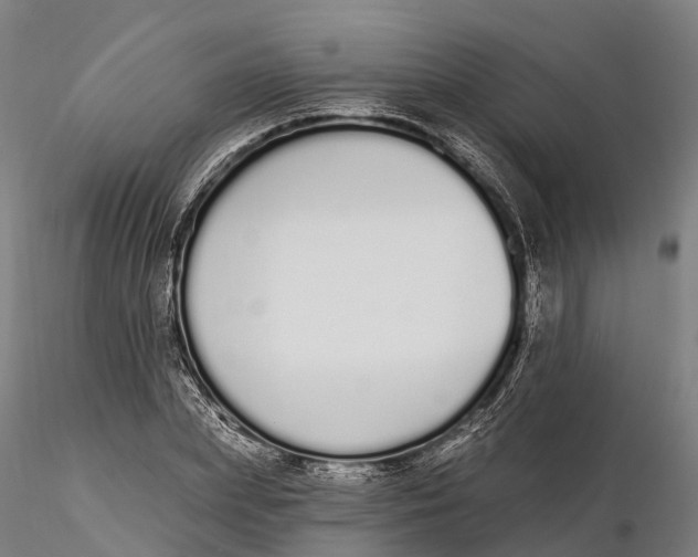 X0000115710831200912031526