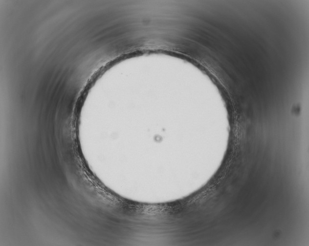 X0000115710832200912031526