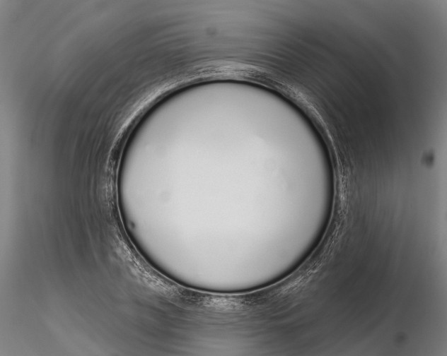 X0000115710835200912031526