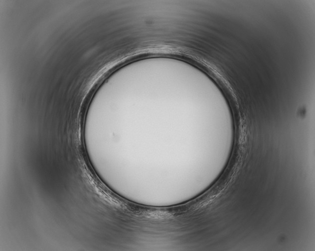 X0000115710837200912031526