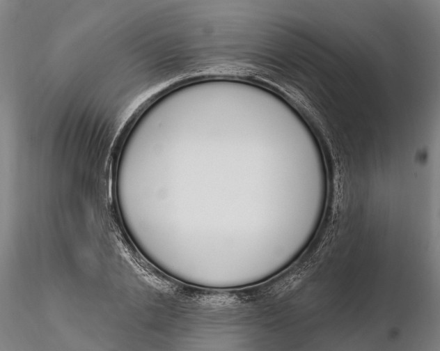 X0000115710838200912031526