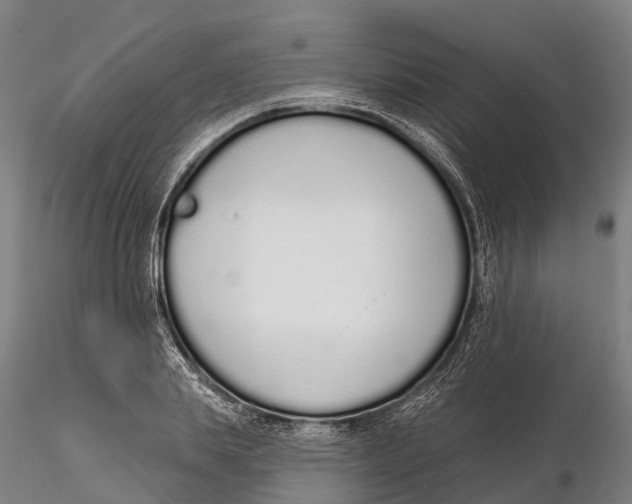 X0000115710839200912031526