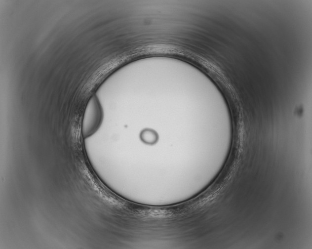 X0000115710841200912031526